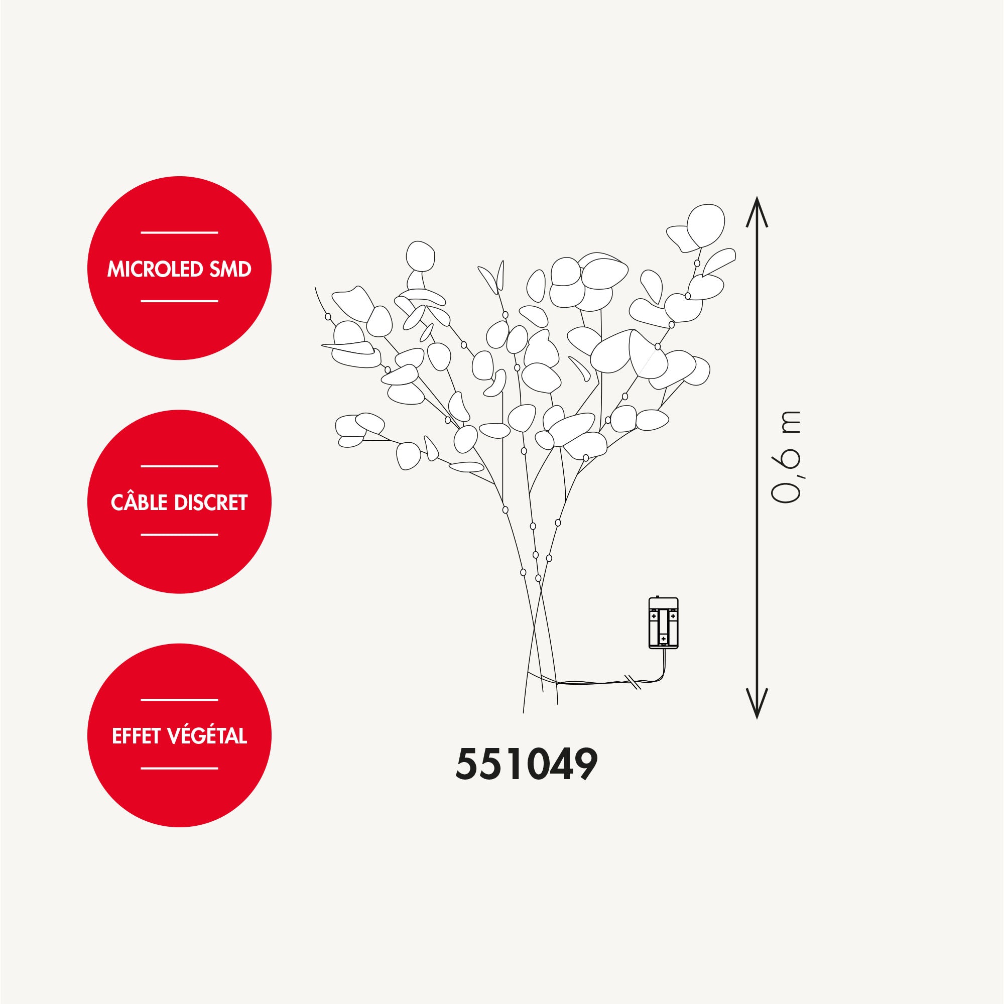 Branche d'eucalyptus